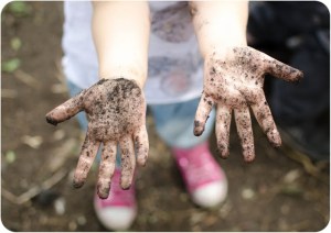 muddy hands