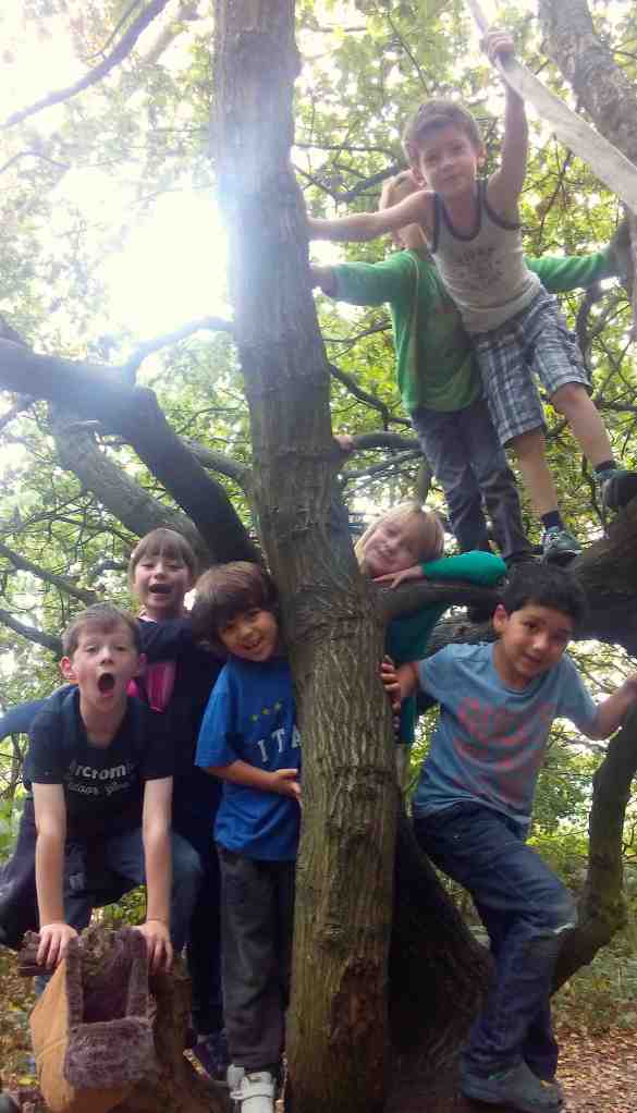 IMG_20140927_132739 copy