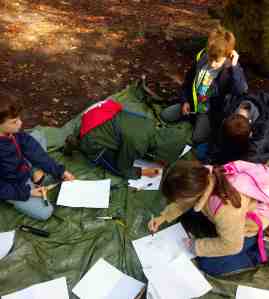 IMG_20141011_115152 copy